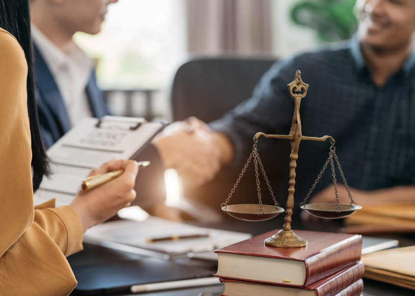 Legal Consultation & Law Firm Services